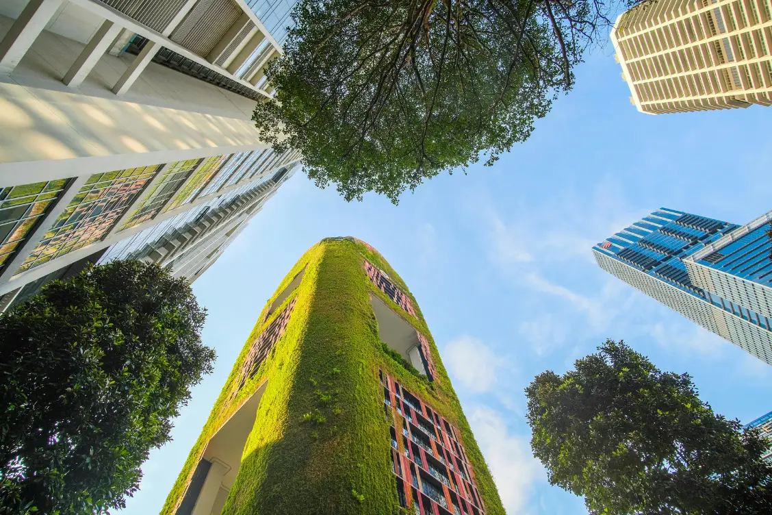 Marketing sostenibile: perché i consumatori vogliono brand più autentici e attenti all’ambiente